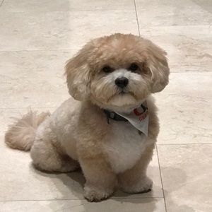 Meet your Posher, Cristina